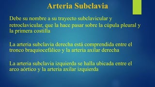 Arteria Subclavia
La arteria subclavia derecha está comprendida entre el
tronco braquiocefálico y la arteria axilar derecha
La arteria subclavia izquierda se halla ubicada entre el
arco aórtico y la arteria axilar izquierda
Debe su nombre a su trayecto subclavicular y
retroclavicular, que la hace pasar sobre la cúpula pleural y
la primera costilla
 