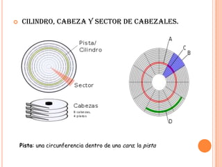 PROCESADOR.El microprocesador es el cerebro del ordenador. Se encarga de realizar todas las operaciones de cálculo y de controlar lo que pasa en el ordenador recibiendo información y dando órdenes para que los demás elementos trabajen. Es el jefe del equipo y, a diferencia de otros jefes, es el que más trabaja.