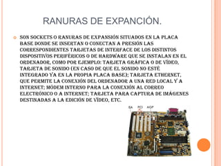 El procesador (CPU, por  Unidad Central de Procesamiento), es por decirlo de alguna manera, el cerebro del ordenador. Permite el procesamiento de información numérica, es decir, información ingresada en formato binario, así como la ejecución de instrucciones almacenadas en la memoria. 
