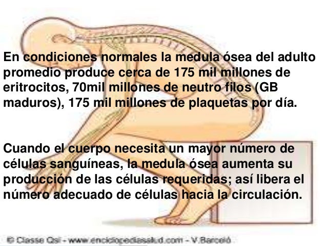 exposición maduro exposición maduro