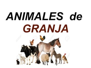 ANIMALES de
GRANJA
 