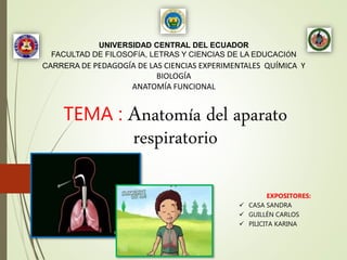 UNIVERSIDAD CENTRAL DEL ECUADOR
FACULTAD DE FILOSOFÍA, LETRAS Y CIENCIAS DE LA EDUCACIÓN
CARRERA DE PEDAGOGÍA DE LAS CIENCIAS EXPERIMENTALES QUÍMICA Y
BIOLOGÍA
ANATOMÍA FUNCIONAL
TEMA : Anatomía del aparato
respiratorio
EXPOSITORES:
 CASA SANDRA
 GUILLÉN CARLOS
 PILICITA KARINA
 