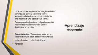 Aprendizaje
esperado
• Un aprendizaje esperado se desglosa de un
aprendizaje clave y se define como,
términos del dominio de un conocimiento,
una habilidad, una actitud o un valor.
• Estos aprendizajes deben ir ligados con las
habilidades y valores que se desea
desarrollar en el niño.
• Conocimientos: Tienen gran valor en la
sociedad actual, sean estos de naturaleza:
• •disciplinaria • interdisciplinaria
• •práctica
 