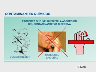 FACTORES QUE INFLUYEN EN LA ABSORCIÓN
DEL CONTAMINANTE VÍA DIGESTIVA
COMER o BEBER
MORDERSE
LAS UÑAS
FUMAR
CONTAMINANTES QUÍMICOS
 