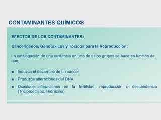 EFECTOS DE LOS CONTAMINANTES:
Cancerígenos, Genotóxicos y Tóxicos para la Reproducción:
La catalogación de una sustancia en uno de estos grupos se hace en función de
que;
■ Induzca el desarrollo de un cáncer
■ Produzca alteraciones del DNA
■ Ocasione alteraciones en la fertilidad, reproducción o descendencia
(Tricloroetileno, Hidrazina)
CONTAMINANTES QUÍMICOS
 