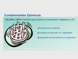 VALORES LIMITE. Factores que se tienen en cuenta para establecer un VL
■Toxicada de la sustancia
■Facilidad de absorción vía respiratoria
■Capacidad de acumularse en el organismo
Contaminantes Químicos
 