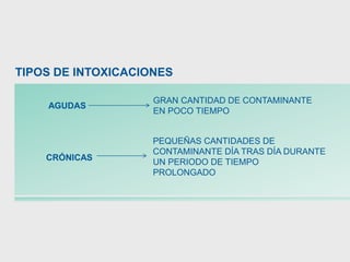 AGUDAS
TIPOS DE INTOXICACIONES
GRAN CANTIDAD DE CONTAMINANTE
EN POCO TIEMPO
CRÓNICAS
PEQUEÑAS CANTIDADES DE
CONTAMINANTE DÍA TRAS DÍA DURANTE
UN PERIODO DE TIEMPO
PROLONGADO
 