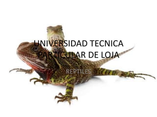 UNIVERSIDAD TECNICA
 PARTICULAR DE LOJA
      REPTILES
 