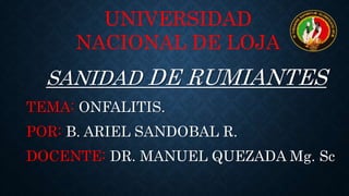 SANIDAD DE RUMIANTES
TEMA: ONFALITIS.
POR: B. ARIEL SANDOBAL R.
DOCENTE: DR. MANUEL QUEZADA Mg. Sc
UNIVERSIDAD
NACIONAL DE LOJA
 