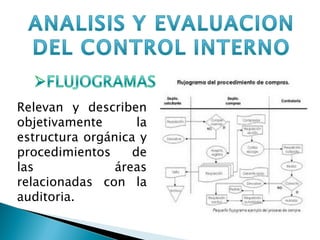 Relevan y describen objetivamente la estructura orgánica y procedimientos de las áreas relacionadas con la auditoria. 