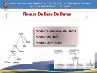 Niveles De Base De Datos Modelo Relacional de Datos  Modelo de Red  Modelo Jerárquico 