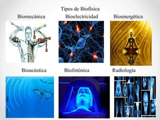 Tipos de Biofísica
Biomecánica Bioelectricidad Bioenergética
Bioacústica Biofotónica Radiología
 