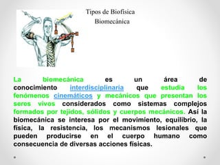 Tipos de Biofísica
Biomecánica
La biomecánica es un área de
conocimiento interdisciplinaria que estudia los
fenómenos cinemáticos y mecánicos que presentan los
seres vivos considerados como sistemas complejos
formados por tejidos, sólidos y cuerpos mecánicos. Así la
biomecánica se interesa por el movimiento, equilibrio, la
física, la resistencia, los mecanismos lesionales que
pueden producirse en el cuerpo humano como
consecuencia de diversas acciones físicas.
 