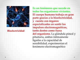 Bioelectricidad
Es un fenómeno que sucede en
todos los organismos vivientes.
El cuerpo humano trabaja en gran
parte gracias a la bioelectricidad,
y cuenta con órganos
especializados en sentir los
impulsos electromagnéticos,
tanto dentro como fuera
del organismo. La glándula pineal y
pituitaria, ambas íntimamente
ligadas a la capacidad de
sensibilidad, experimentan el
fenómeno electromagnético
 