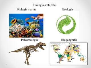 Biología ambiental
Biología marina Ecología
Paleontología Biogeografía
 