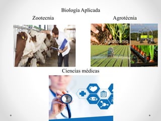 Biología Aplicada
Zootecnia Agrotécnia
Ciencias médicas
 