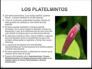 0 Son seres pluricelulares, cuyo nombre significa “gusanos
Planos”, y existen alrededor de 20,000 especies.
0 Viven en condiciones ambientales húmedas. Muchas de
estos gusanos son parásitos y viven dentro de otras
especies.
0 No tienen aparato respiratorio ni tampoco aparato
circulatorio, por lo que el oxígeno lo absorben a través sus
tegumentos, o sea, de la membrana que les sirve como piel
y por difusión el oxígeno pasa a sus estructuras internas.
0 Su estructura corporal es más o menos simétrica, y algunos,
como las planarias, tienen la característica de que si son
cortados, ambas partes se regeneran y forman dos nuevos
individuos.
0 La mayoría de las especies son hermafroditas,
reproduciéndose por huevos producto de la autofecundación
y también asexualmente
0 No tienen aparato locomotor, y solamente se mueven por la
vibración de los cilios de su piel.
0 Causan enfermedades como: Esquistosomiasis, Teniasis ,
Hidatidosis(quistes en el higado,pulmones,hasta cerebro si se
explotan causan un shock), Hymenolepiasis ( alimento
contaminado).
 