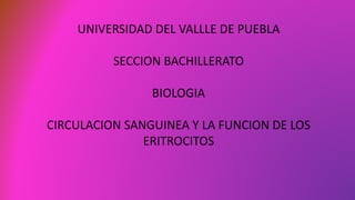 UNIVERSIDAD DEL VALLLE DE PUEBLA
SECCION BACHILLERATO
BIOLOGIA
CIRCULACION SANGUINEA Y LA FUNCION DE LOS
ERITROCITOS
 