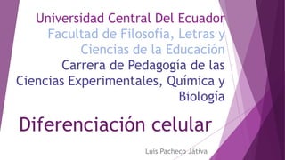 Diferenciación celular
Luis Pacheco Játiva
Universidad Central Del Ecuador
Facultad de Filosofía, Letras y
Ciencias de la Educación
Carrera de Pedagogía de las
Ciencias Experimentales, Química y
Biología
 