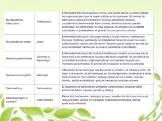 Exposicion biologia (bacterias)