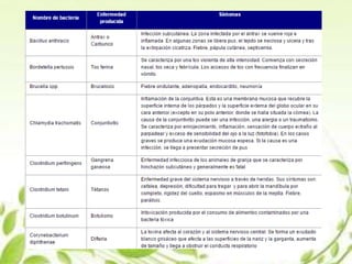 Exposicion biologia (bacterias)