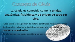 La célula es conocida como la unidad
anatómica, fisiológica y de origen de todo ser
vivo.
Cada célula es una porción de materia constituida y organizada capaz
de desarrollar todas las actividades asociadas a la vida: nutrición,
relación y reproducción,
de tal modo que se puede considerar un ser con vida propia.
 