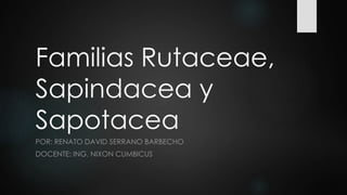 Familias Rutaceae,
Sapindacea y
Sapotacea
POR: RENATO DAVID SERRANO BARBECHO
DOCENTE: ING. NIXON CUMBICUS
 