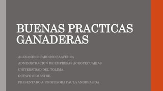 BUENAS PRACTICAS
GANADERAS
ALEXANDER CARDOSO SAAVEDRA
ADMINISTRACION DE EMPRESAS AGROPECUARIAS
UNIVERSIDAD DEL TOLIMA.
OCTAVO SEMESTRE.
PRESENTADO A: PROFESORA PAULA ANDREA ROA
 