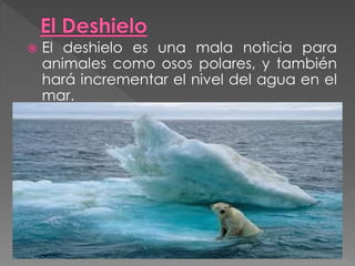    El deshielo es una mala noticia para
    animales como osos polares, y también
    hará incrementar el nivel del agua en el
    mar.
 