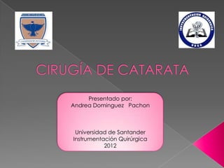 Presentado por:
Andrea Dominguez Pachon
Universidad de Santander
Instrumentación Quirúrgica
2012
 