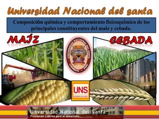 Composición química y comportamiento fisicoquímico de los
principales constituyentes del maíz y cebada.
 