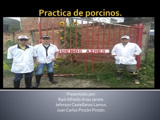 Presentado por:
RaúlAlfredo Arias zarate.
Jeferson Castellanos Lamus.
Juan Carlos Pinzón Pinzón.
 