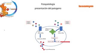 .
Fisiopatología
presentación del patogeno
 