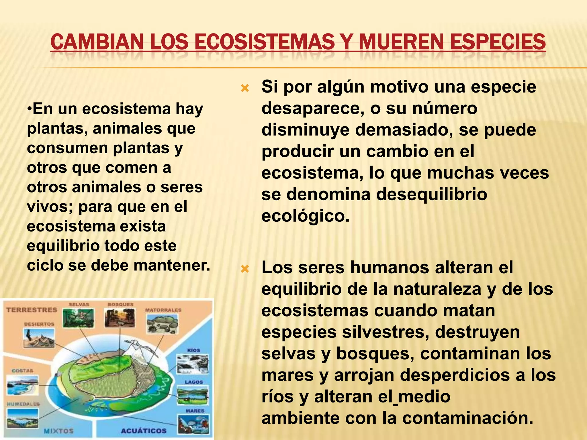 CAMBIAN LOS ECOSISTEMAS Y MUEREN ESPECIES
 Si por algún motivo una especie
desaparece, o su número
disminuye demasiado, se puede
producir un cambio en el
ecosistema, lo que muchas veces
se denomina desequilibrio
ecológico.
 Los seres humanos alteran el
equilibrio de la naturaleza y de los
ecosistemas cuando matan
especies silvestres, destruyen
selvas y bosques, contaminan los
mares y arrojan desperdicios a los
ríos y alteran el medio
ambiente con la contaminación.
•En un ecosistema hay
plantas, animales que
consumen plantas y
otros que comen a
otros animales o seres
vivos; para que en el
ecosistema exista
equilibrio todo este
ciclo se debe mantener.
 