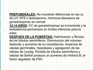 PREPUBERALES: No muestran diferencias en las cc
de LH, HFS o testosterona. Hormona liberadora de
gonadotropinas es normal.
12-14 AÑOS: CC de gonadotropinas se incrementa y la
testosterona permanece en límites inferiores para la
edad.
DESPUES DE LA PUBERTAD: hialinizacion y fibrosis
de los túbulos seminíferos. Disminucion del volumen
testicular y aumento de su consistencia. Ausencia de
células germinales, hiperplasia y agregación de las
células de Leydig. Perdida de túbulos seminíferos y
células de Sertoli produce un aumento de inhibina B, el
factor regulador de FSH.
 