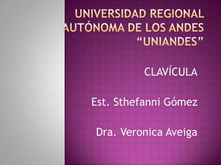 CLAVÍCULA

Est. Sthefanni Gómez

Dra. Veronica Aveiga
 