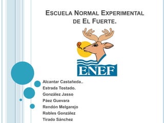 ESCUELA NORMAL EXPERIMENTAL
DE EL FUERTE.
Alcantar Castañeda..
Estrada Tostado.
González Jasso
Páez Guevara
Rendón Melgarejo
Robles González
Tirado Sánchez
 