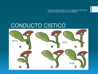 Anatomía de las Vías Biliares Extrahepáticas, Bouchet Y,
Passagia GJ, Lopez JF, EMC 40-900
CONDUCTO CISTICO
 2% de los ca...