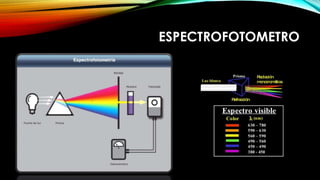 ESPECTROFOTOMETRO
 