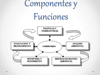 Componentes y
Funciones
 