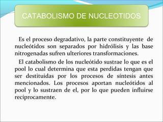 CATABOLISMO DE NUCLEOTIDOS


  Es el proceso degradativo, la parte constituyente de
nucleótidos son separados por hidrólisis y las base
nitrogenadas sufren ulteriores transformaciones.
  El catabolismo de los nucleótido sustrae lo que es el
pool lo cual determina que esta perdidas tengan que
ser destituidas por los procesos de síntesis antes
mencionados. Los procesos aportan nucleótidos al
pool y lo sustraen de el, por lo que pueden influirse
recíprocamente.
 