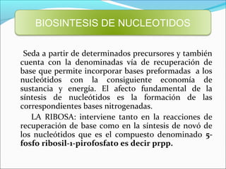 BIOSINTESIS DE NUCLEOTIDOS

 Seda a partir de determinados precursores y también
cuenta con la denominadas vía de recuperación de
base que permite incorporar bases preformadas a los
nucleótidos con la consiguiente economía de
sustancia y energía. El afecto fundamental de la
síntesis de nucleótidos es la formación de las
correspondientes bases nitrogenadas.
   LA RIBOSA: interviene tanto en la reacciones de
recuperación de base como en la síntesis de novó de
los nucleótidos que es el compuesto denominado 5-
fosfo ribosil-1-pirofosfato es decir prpp.
 