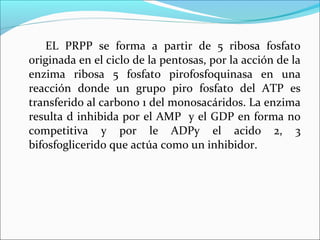 EL PRPP se forma a partir de 5 ribosa fosfato
originada en el ciclo de la pentosas, por la acción de la
enzima ribosa 5 fosfato pirofosfoquinasa en una
reacción donde un grupo piro fosfato del ATP es
transferido al carbono 1 del monosacáridos. La enzima
resulta d inhibida por el AMP y el GDP en forma no
competitiva y por le ADPy el acido 2, 3
bifosfoglicerido que actúa como un inhibidor.
 