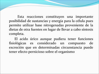 Esta reacciones constituyen una importante
posibilidad de sustancias y energía para la célula pues
permite utilizar base nitrogenadas proveniente de la
dietas de otra fuentes en lugar de llevar a cabo síntesis
completa.
    El acido úrico aunque pudiera tener funciones
fisiológicas es considerado un compuesto de
excreción que en determinadas circunstancia puede
tener efecto pernicioso sobre el organismo
 