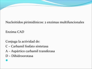Nucleótidos pirimidínicos: 2 enzimas multifuncionales

Enzima CAD

Conjuga la actividad de:
C – Carbamil fosfato sintetasa
A – Aspártico carbamil transferasa
D – Dihidroorotasa

 