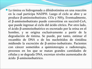La timina es hidrogenada a dihidrotimina en una reacción
 en la cual participa NADPH. Luego el ciclo se abre y se
 produce β-aminoisobutirato, CO2 y NH3. Eventualmente,
 el β-aminoisobutirato puede convertirse en succinil-CoA,
 que puede ingresar al ciclo del ácido cítrico. Por otro lado,
 el ácido β-aminoisobutírico es excretado por la orina en el
 hombre, y se origina exclusivamente a partir de la
 degradación de timina. Se puede, por tanto, estimar el
 recambio de DNA o de los nucleótidos de timidina
 midiendo la excreción de β-amino-isobutirato. Pacientes
 con cáncer sometidos a quimioterapia o radioterapia,
 procesos en los que se matan grandes cantidades de
 células y se degrada DNA, excretan niveles aumentados de
 ácido β-aminoisobutirico.
 