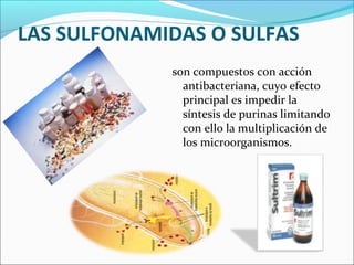LAS SULFONAMIDAS O SULFAS
             son compuestos con acción
               antibacteriana, cuyo efecto
               principal es impedir la
               síntesis de purinas limitando
               con ello la multiplicación de
               los microorganismos.
 