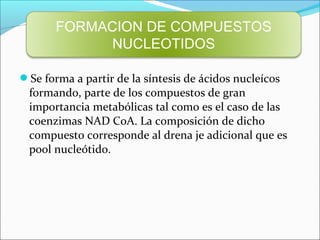FORMACION DE COMPUESTOS
             NUCLEOTIDOS

Se forma a partir de la síntesis de ácidos nucleícos
 formando, parte de los compuestos de gran
 importancia metabólicas tal como es el caso de las
 coenzimas NAD CoA. La composición de dicho
 compuesto corresponde al drena je adicional que es
 pool nucleótido.
 