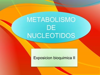 METABOLISMO
    DE
NUCLEOTIDOS


 Exposicion bioquimica II
 