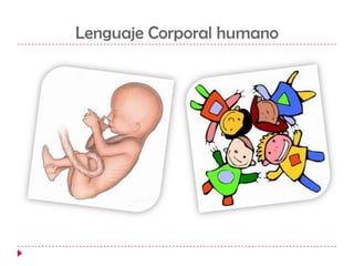 Lenguaje Corporal humano